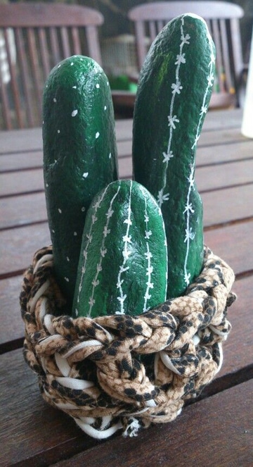 cactus pintados en piedras en cesta