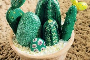 cactus pintados en piedras en flor