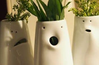 Vasos decorativos para plantas de vidrio para cumpleaños