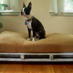 Como hacer camitas y camas para perros con palets recicladas