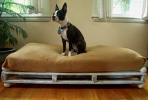 camas para perros con palets sencilla