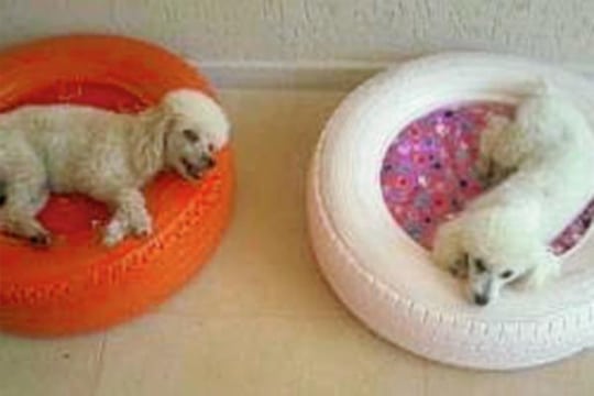 camas para perros recicladas pequeñas