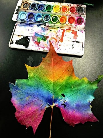 decoraciones con hojas de colores arcoiris