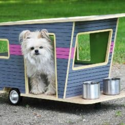 Tus mascotas amarán estas casitas para perros pequeños