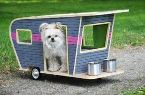 casitas para perros pequeños moderna