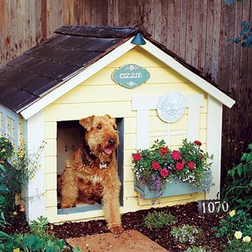 casitas para perros pequeños tradicional