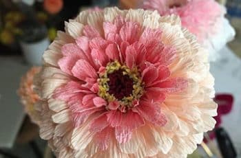 Haz estas flores grandes de papel crepe para decoración