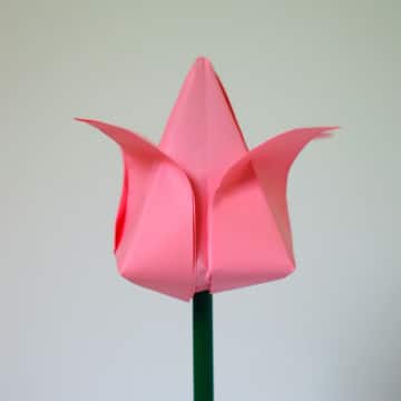 pasos para hacer un origami de flor