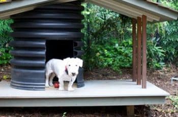 Unas casas de plastico para perros que los hace felices