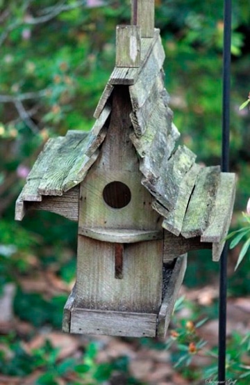 casas para aves silvestres pequeñas