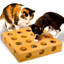 Entretenidos juegos caseros para gatos traviesos y curiosos