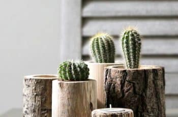 Lindas macetas de troncos de árbol hechas en pocos pasos