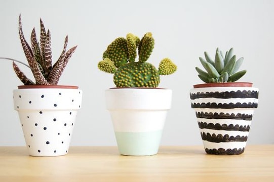 macetas para cactus pequeños decoradas