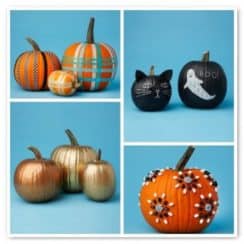 Varias ideas para la decoracion de calabazas para halloween