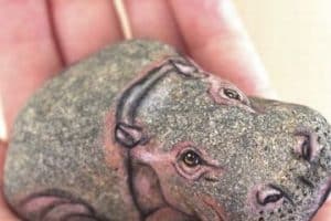 piedras pintadas de animales hipopotamo