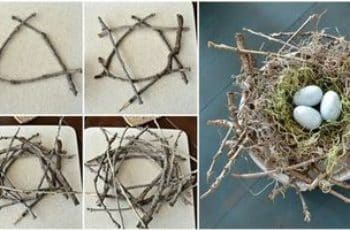 Ideas y pasos de como hacer un nido de pajaro
