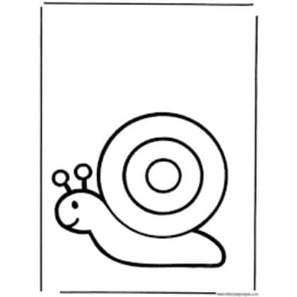 animales terrestres para dibujar caracol