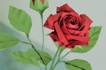 5 pasos para saber como hacer una rosa de cartulina