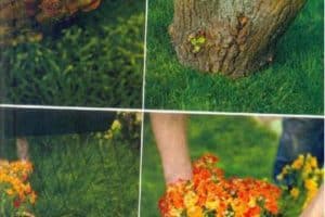 ideas para decorar tu jardin pequeño
