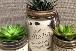 frascos de mermelada decorados con cactus