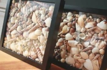 4 ideas para manualidades con conchas de mar