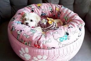 camas para perros de llantas pequeñas