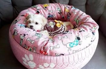 4 divertidas camas para perros de llantas hechas en casa