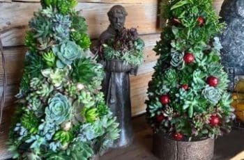 4 ideas para crear arboles de navidad con suculentas