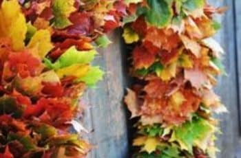 4 ideas para manualidades con hojas secas para decorar en casa