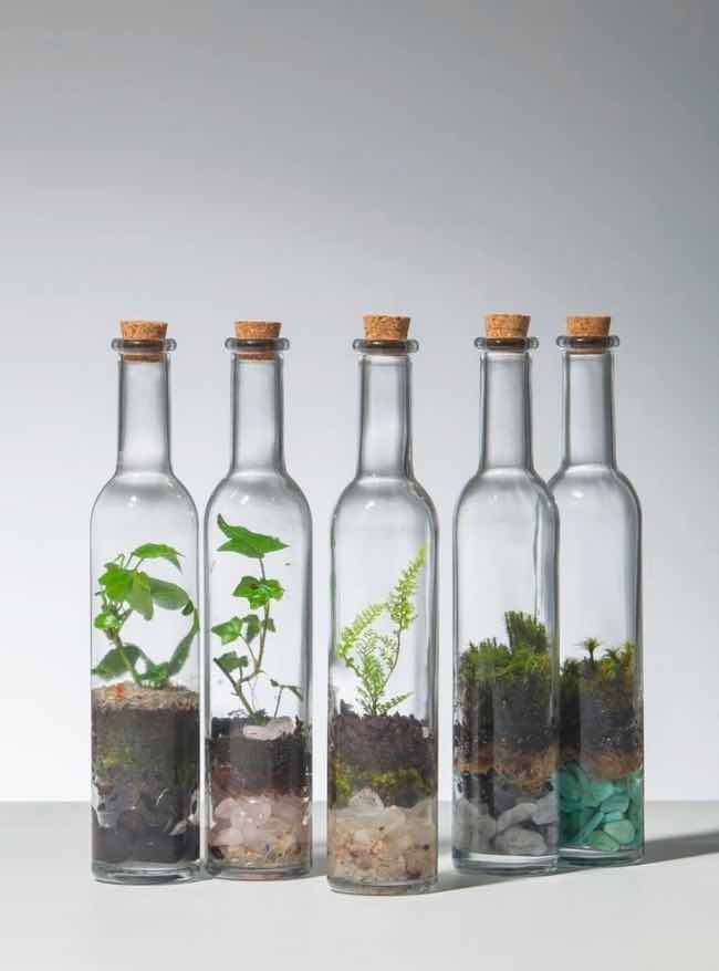 reciclaje de botellas de vidrio