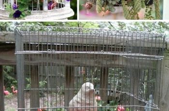 Manualidades para decorar jardin 2022