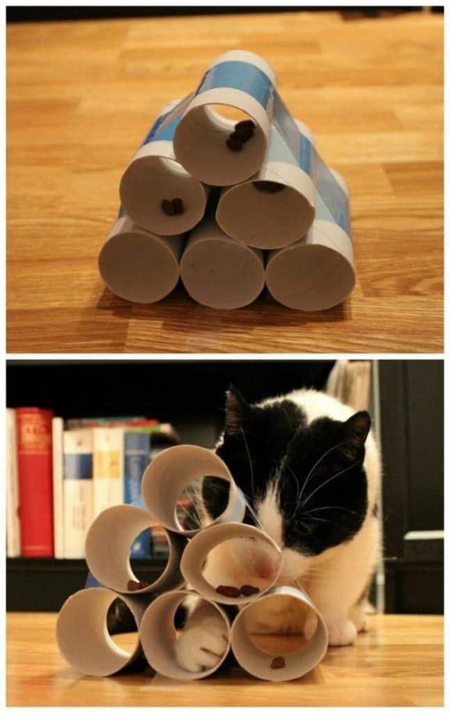 juguetes caseros para gatos