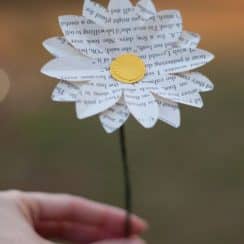 7 pasos como hacer margaritas de papel para decorar